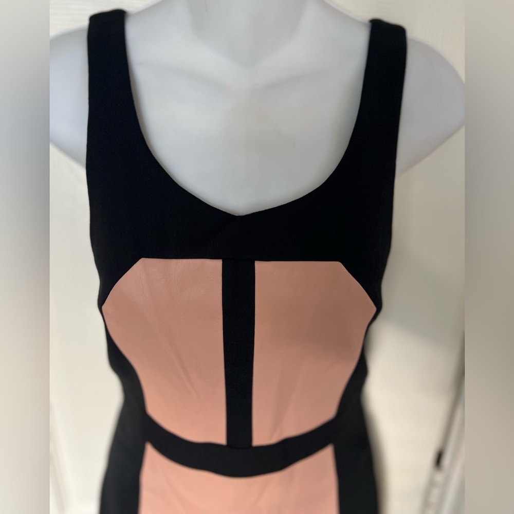 Rebecca Minkoff Stella Leather Panel Trim Dress NWT SZ 2 - Picture 8 of 15